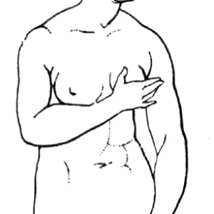 アフロディーテの姿を描いた図